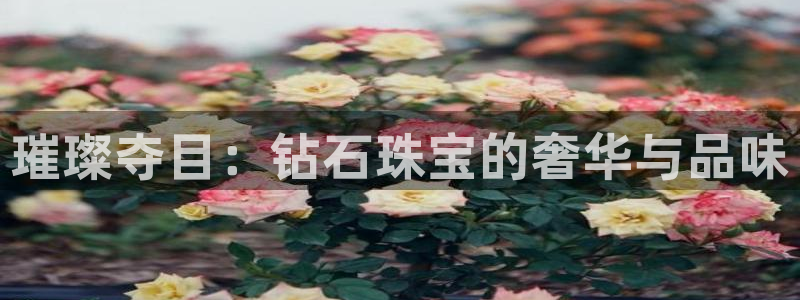 开丰娱乐违法吗：璀璨夺目：钻石珠宝的奢华与品味