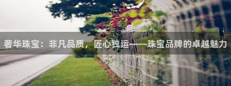 开丰娱乐下7O667：奢华珠宝：非凡品质，匠心独运——珠宝品牌的卓越魅力