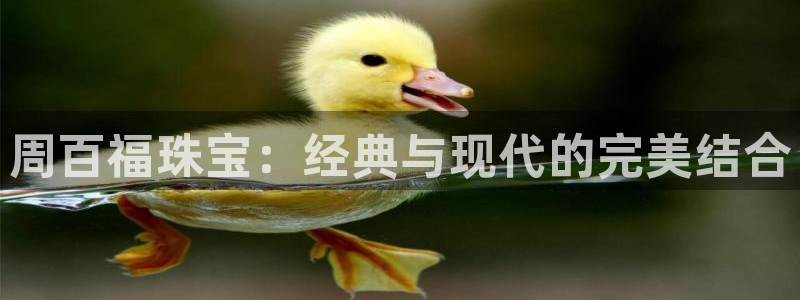 开丰娱乐登入地址在哪儿