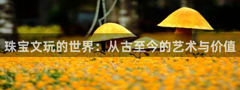 开丰娱乐官网最新消息：珠宝文玩的世界：从古至今的艺术与价值