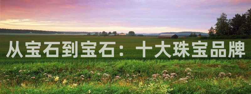 开丰娱乐平台官网登录：从宝石到宝石：十大珠宝品牌