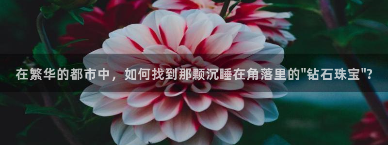 开丰娱乐寸六七五一38：在繁华的都市中，如何找到那颗沉睡在角落里的\