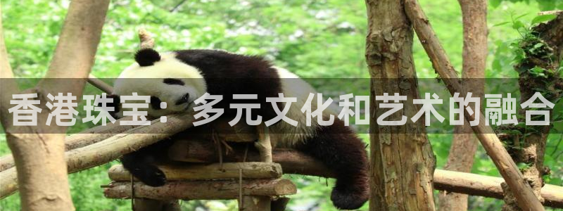 开丰娱乐下7O667：香港珠宝：多元文化和艺术的融合