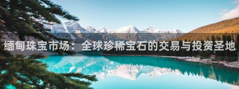 如何注册开丰娱乐账号：缅甸珠宝市场：全球珍稀宝石的交易与投资圣地