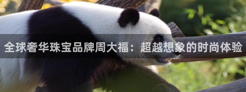 开丰娱乐登录平台下载：全球奢华珠宝品牌周大福：超越想象的时尚体验