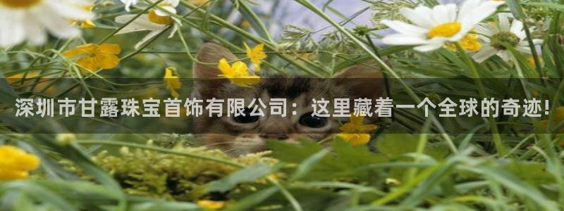 开丰娱乐寸67五壹叁八：深圳市甘露珠宝首饰有限公司：这里藏着一个全球的奇迹!