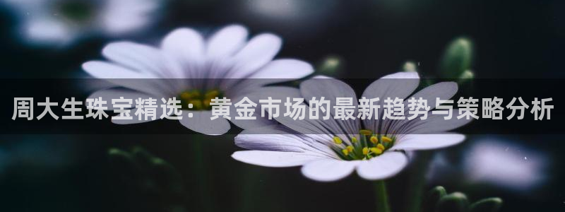 开丰娱乐主管：周大生珠宝精选：黄金市场的最新趋势与策略分析