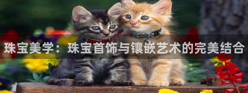 开丰娱乐登陆：珠宝美学：珠宝首饰与镶嵌艺术的完美结合