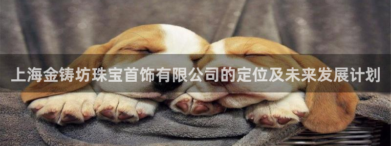 开丰娱乐官网平台电话：上海金铸坊珠宝首饰有限公司的定位及未来发展计划
