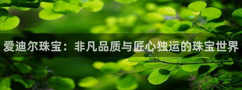 开丰娱乐平台登录：爱迪尔珠宝：非凡品质与匠心独运的珠宝世界