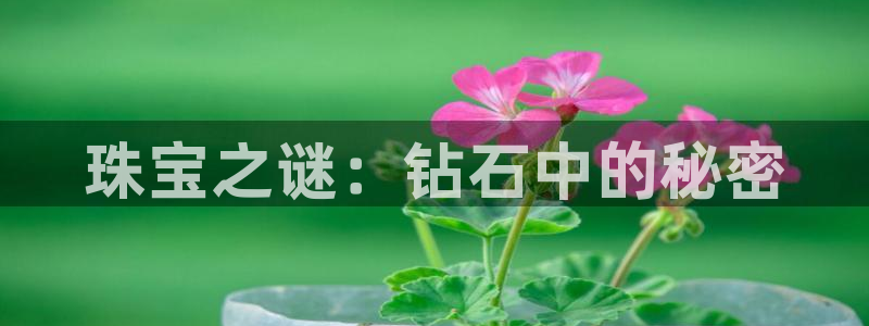 开丰娱乐姜333OO：珠宝之谜：钻石中的秘密