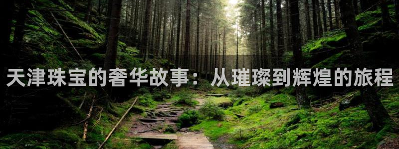 开丰娱乐平台登录：天津珠宝的奢华故事：从璀璨到辉煌的旅程