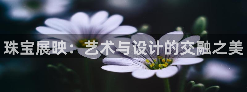开丰娱乐官方app：珠宝展映：艺术与设计的交融之美