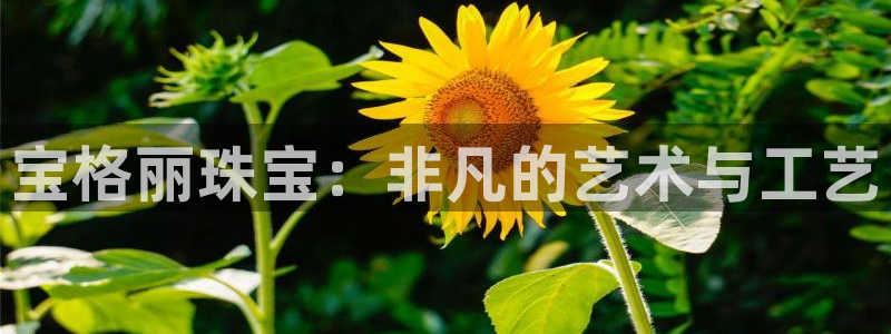 开丰娱乐登录平台：宝格丽珠宝：非凡的艺术与工艺