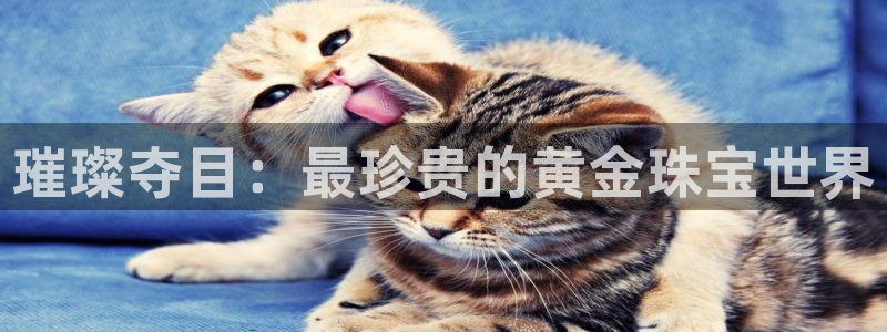 开丰娱乐于六七五一38：璀璨夺目：最珍贵的黄金珠宝世界