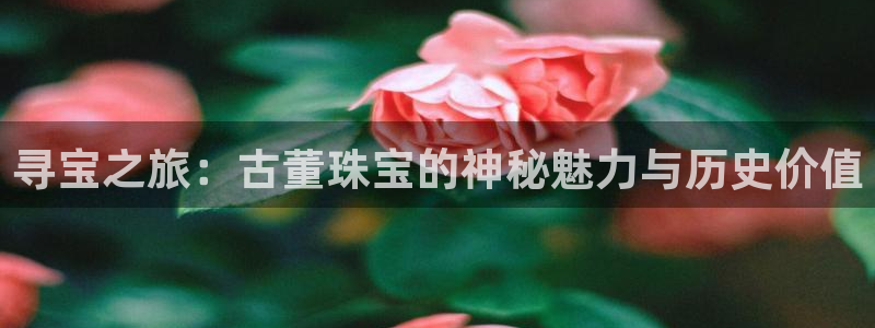 开丰娱乐更多平台：寻宝之旅：古董珠宝的神秘魅力与历史价值