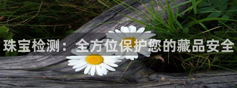 开丰娱乐平台：珠宝检测：全方位保护您的藏品安全