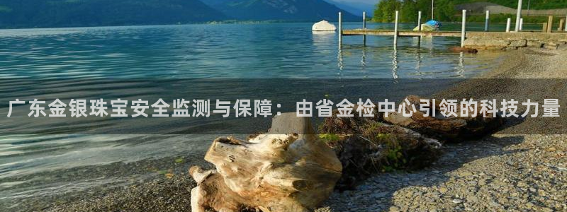 开丰娱乐右7O667：广东金银珠宝安全监测与保障：由省金检中心引领的科技力量