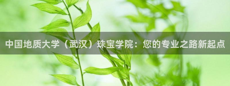 开丰娱乐平台登录：中国地质大学（武汉）珠宝学院：您的专业之路新起点
