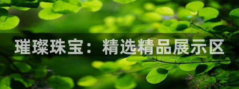 开丰娱乐官方app：璀璨珠宝：精选精品展示区