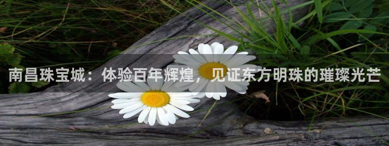 开丰娱乐登陆地址：南昌珠宝城：体验百年辉煌，见证东方明珠的璀璨光芒