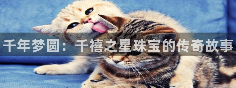 开丰娱乐注册资金多少：千年梦圆：千禧之星珠宝的传奇故事