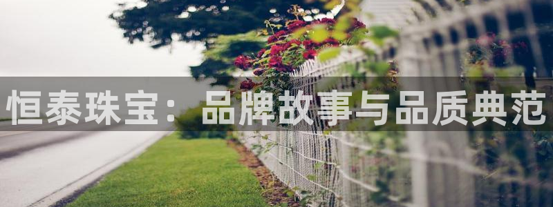 开丰娱乐官网平台：恒泰珠宝：品牌故事与品质典范