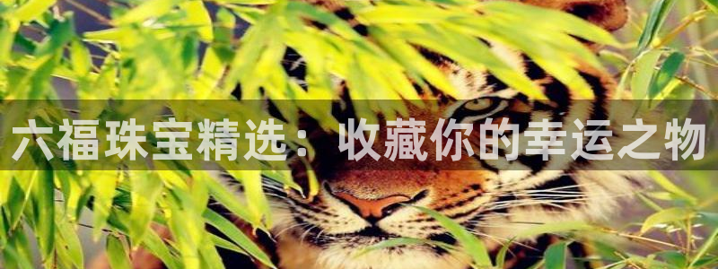开丰娱乐 赢咖一：六福珠宝精选：收藏你的幸运之物