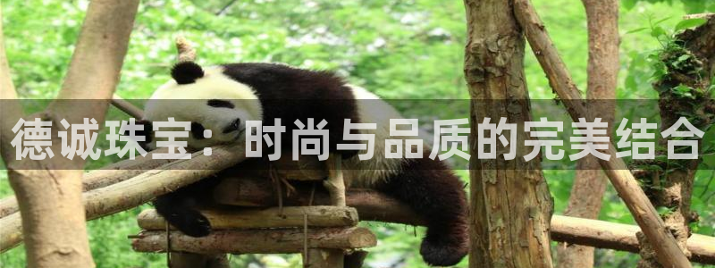 开丰娱乐注册电7O777：德诚珠宝：时尚与品质的完美结合