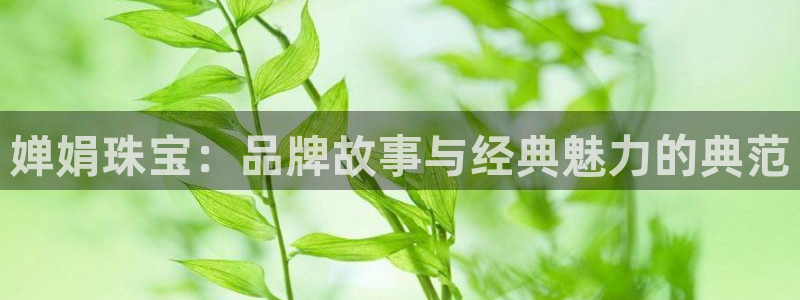 开丰娱乐注册系究耍333OO：婵娟珠宝：品牌故事与经典魅力的典范