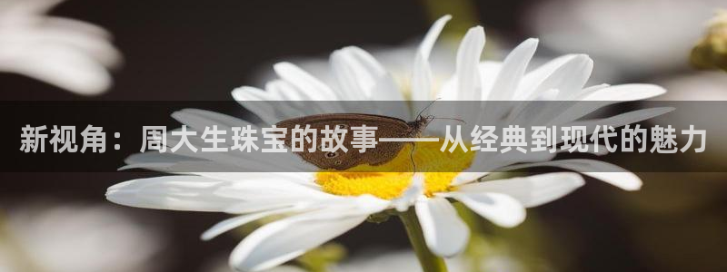 开丰娱乐日：新视角：周大生珠宝的故事——从经典到现代的魅力