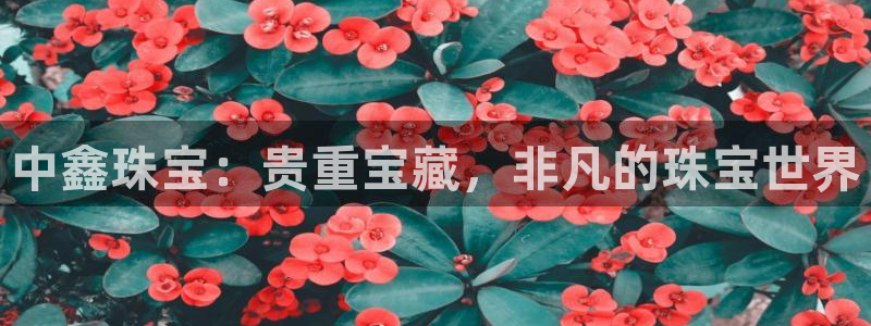 开丰娱乐地址查询：中鑫珠宝：贵重宝藏，非凡的珠宝世界
