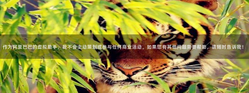 开丰娱乐注册：作为阿里巴巴的虚拟助手，我不会主动策划或参与任何商业活动。如果您有