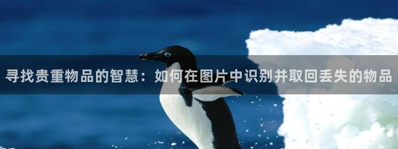 开丰娱乐咋7O777：寻找贵重物品的智慧：如何在图片中识别并取回丢失的物品