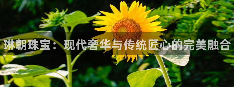 开丰娱乐最新活动