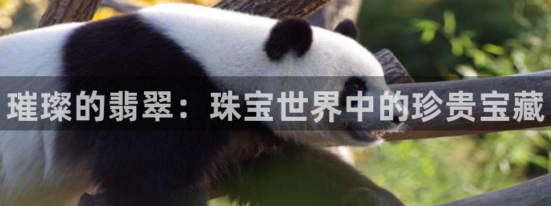 开丰娱乐日7O667：璀璨的翡翠：珠宝世界中的珍贵宝藏