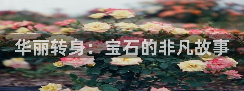 开丰娱乐登录：华丽转身：宝石的非凡故事