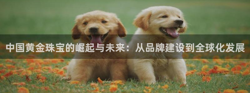 开丰娱乐登入地址查询：中国黄金珠宝的崛起与未来：从品牌建设到全球化发展