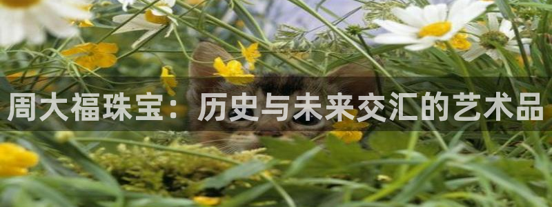 开丰娱乐app：周大福珠宝：历史与未来交汇的艺术品