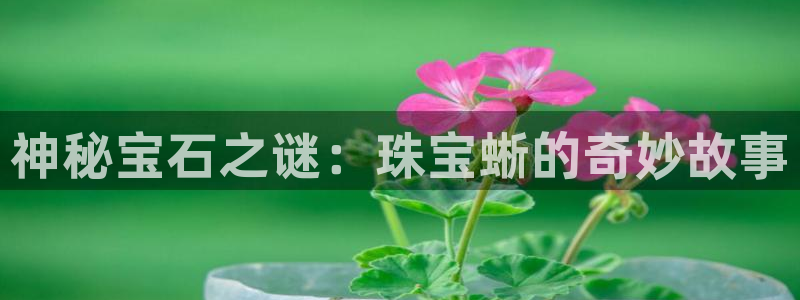 开丰娱乐平台：神秘宝石之谜：珠宝蜥的奇妙故事