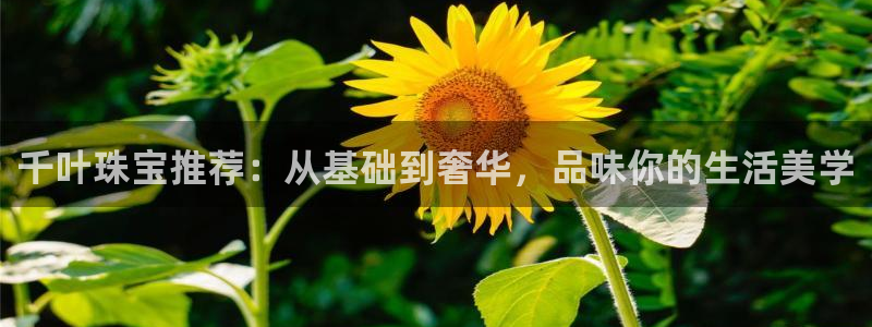 开丰娱乐登录网址：千叶珠宝推荐：从基础到奢华，品味你的生活美学