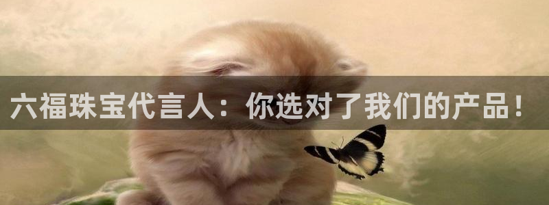 开丰娱乐后：六福珠宝代言人：你选对了我们的产品！