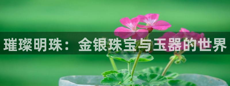 开丰娱乐上7O667：璀璨明珠：金银珠宝与玉器的世界