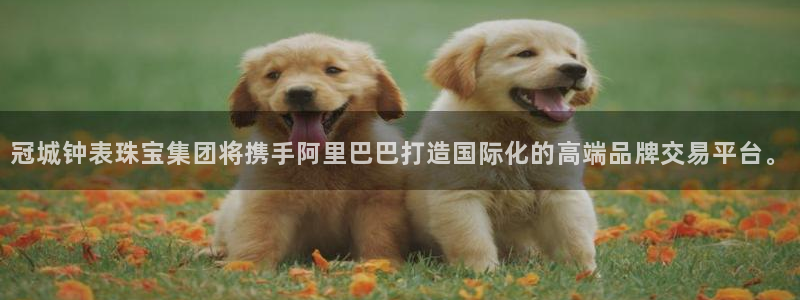 下载开丰娱乐：冠城钟表珠宝集团将携手阿里巴巴打造国际化的高端品牌交易平台。