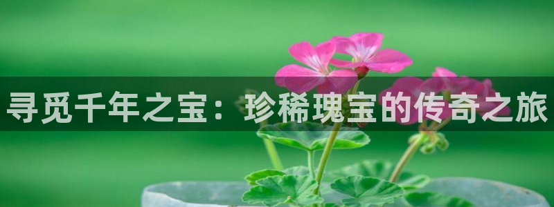 开丰娱乐行业恢复时间：寻觅千年之宝：珍稀瑰宝的传奇之旅