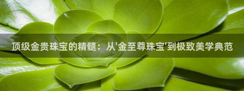开丰娱乐网站：顶级金贵珠宝的精髓：从\'金至尊珠宝\'到极致美学典范