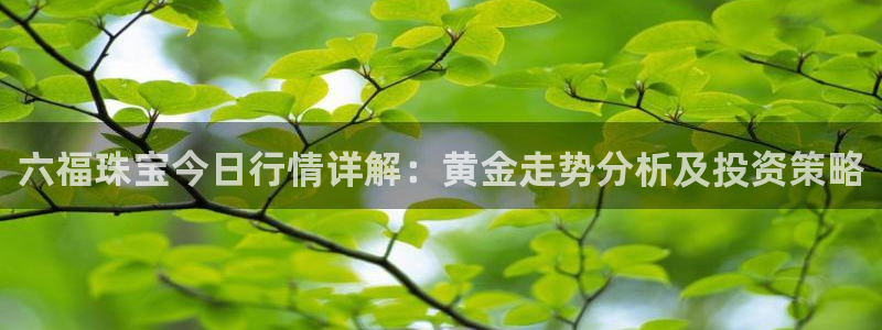 开丰娱乐 赢咖一：六福珠宝今日行情详解：黄金走势分析及投资策略