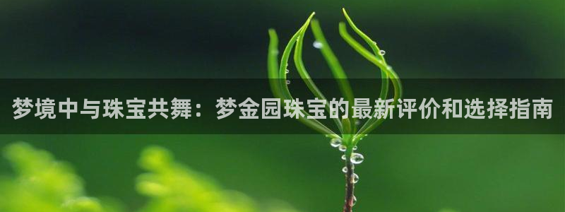 开丰娱乐登入地址在哪儿：梦境中与珠宝共舞：梦金园珠宝的最新评价和选择指南