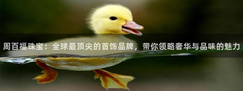 开丰娱乐主管家去判官333OO：周百福珠宝：全球最顶尖的首饰品牌，带你领略奢华与
