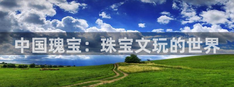 开丰娱乐前：中国瑰宝：珠宝文玩的世界